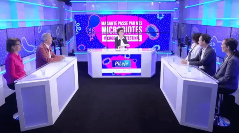 Live Twitch avec PiLeJe