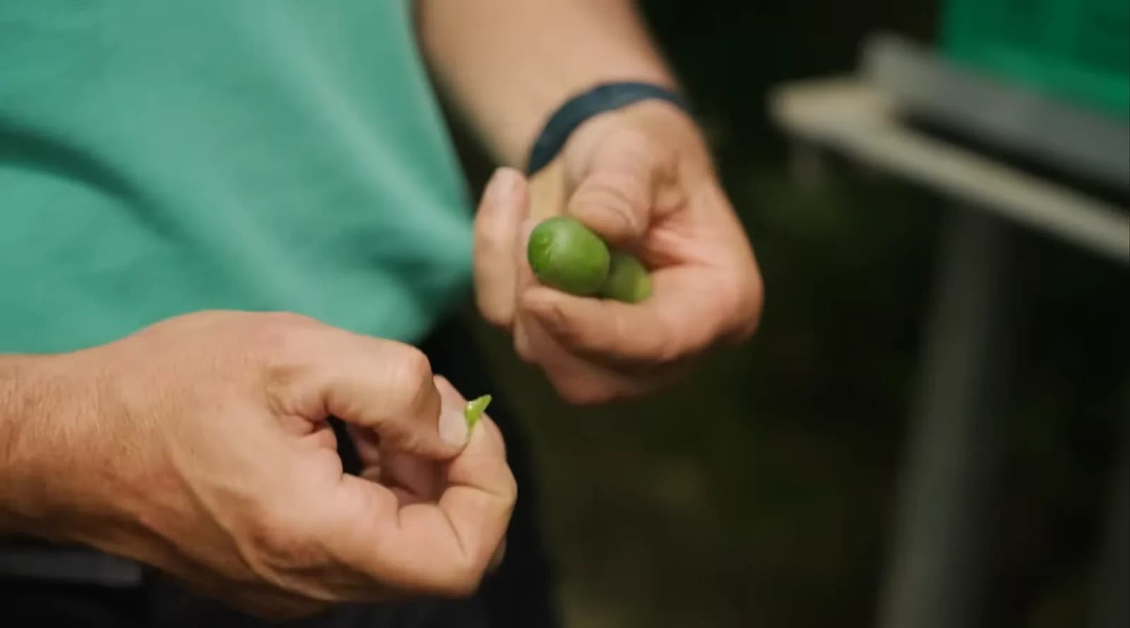 Taste France & Hopscotch - Série de reportages